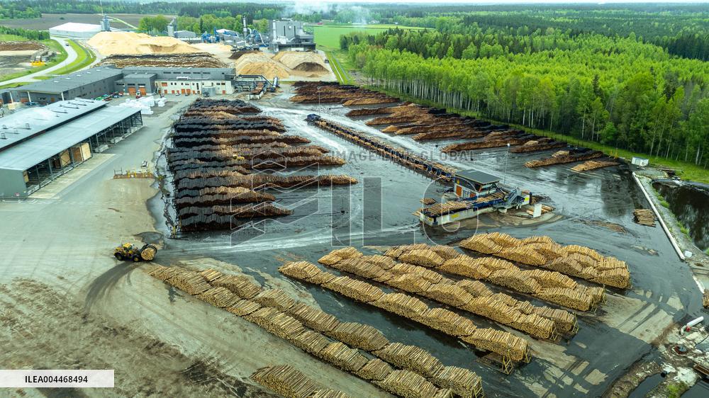 Wood industry