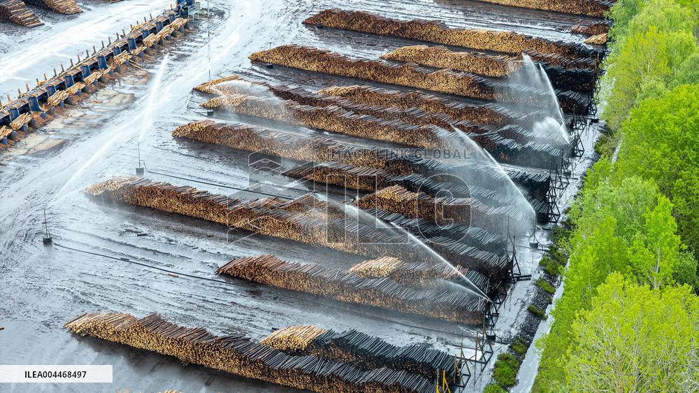 Wood industry