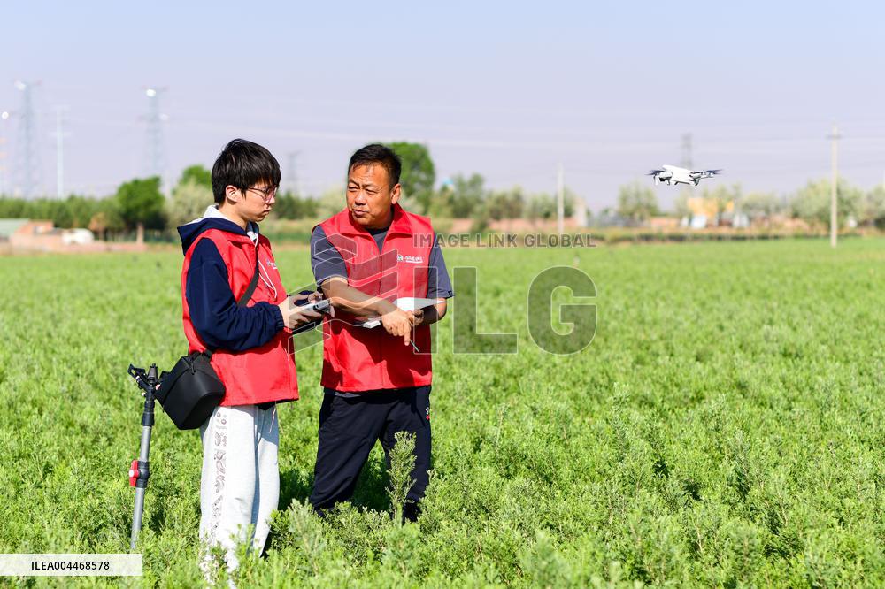 Caragana Ecological Economic Industrial Chain in Ordos
