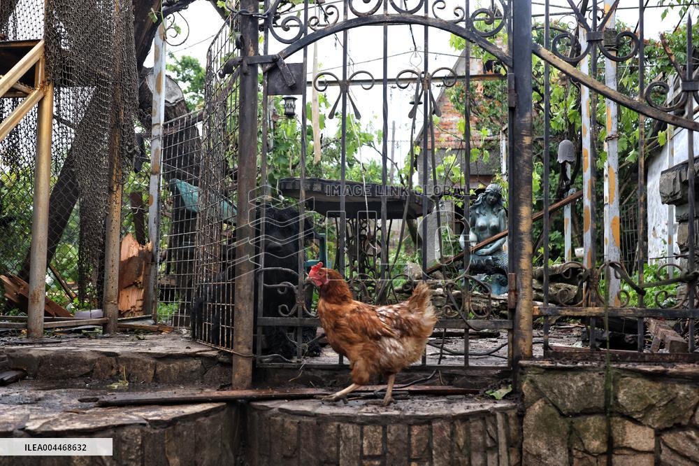 Russian forces launch massive Shahed drone attack on Odesa region