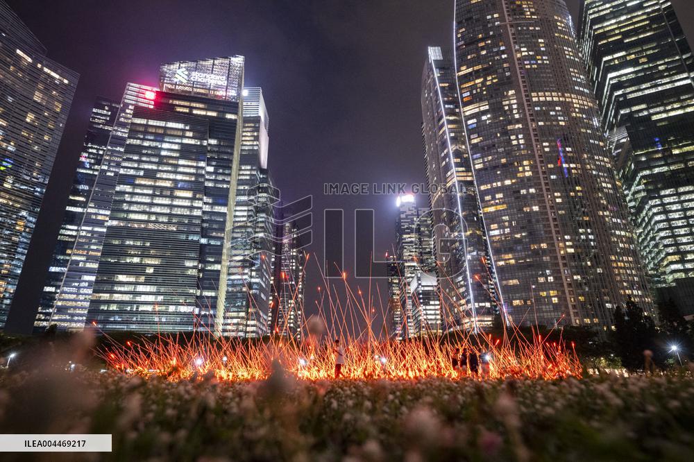 Light Installation - Singapore