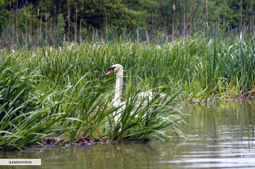 Rafting down Smotrych River in Khmelnytskyi region