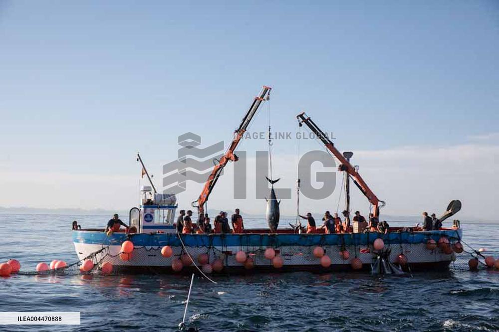 Levanta in Barbate - Cadiz