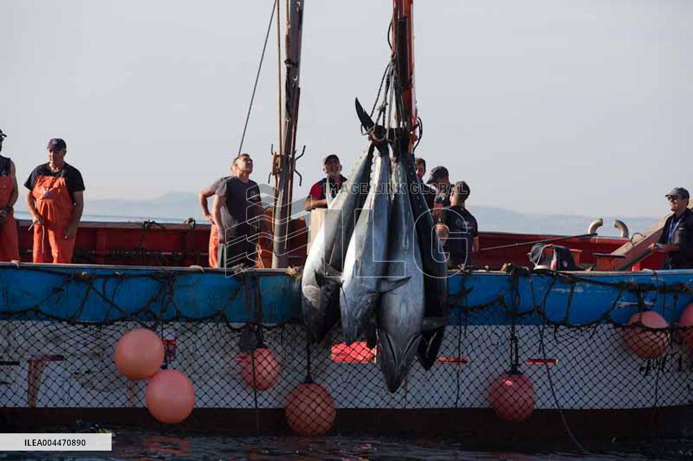 Levanta in Barbate - Cadiz