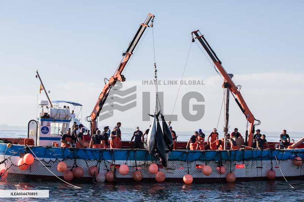 Levanta in Barbate - Cadiz