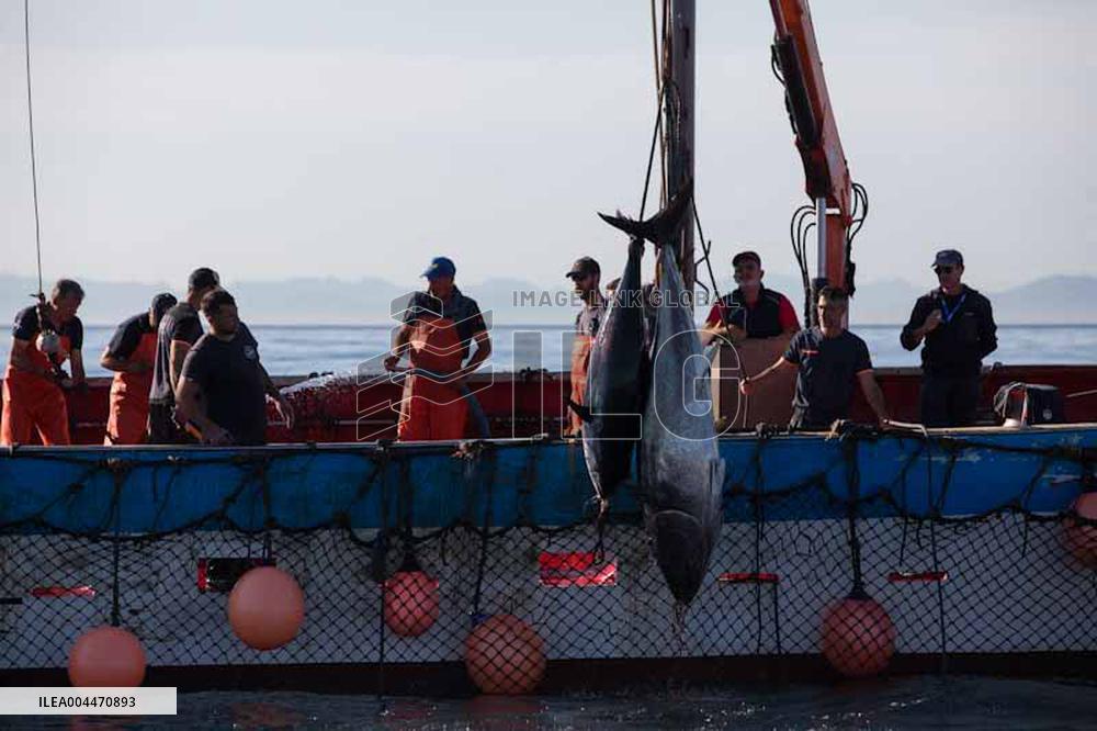 Levanta in Barbate - Cadiz