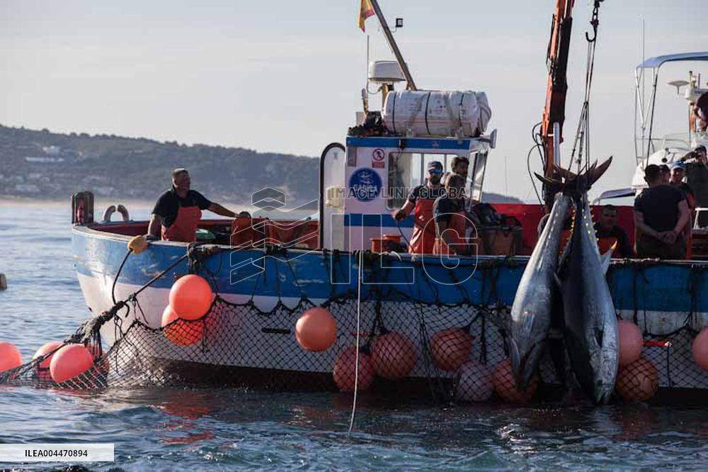 Levanta in Barbate - Cadiz