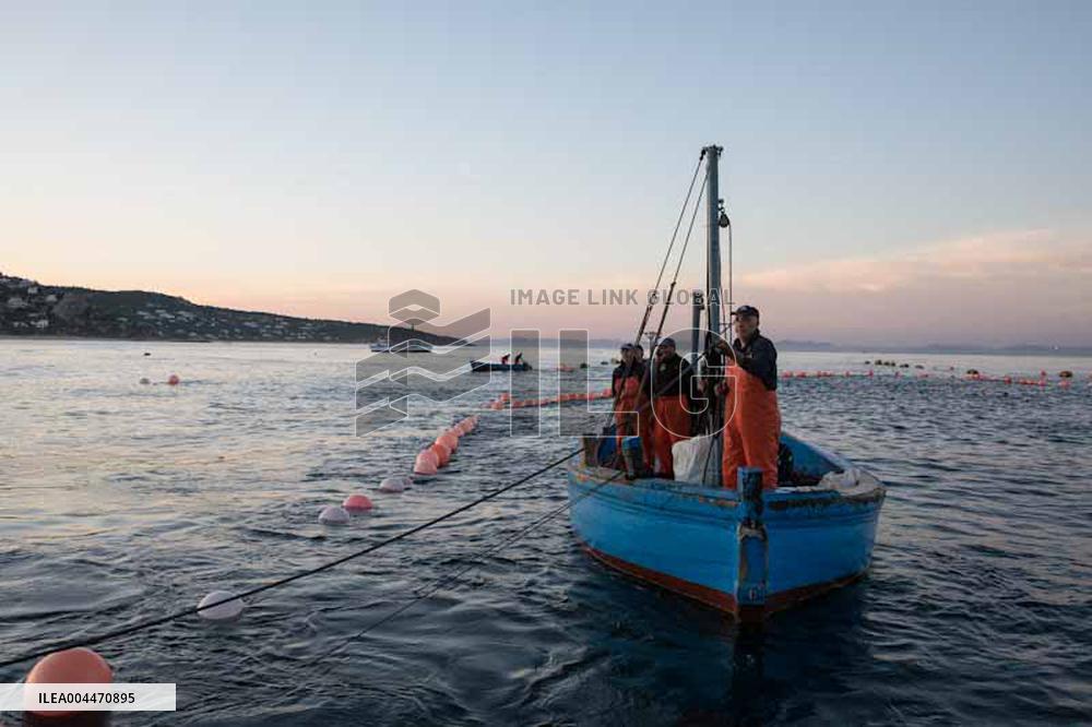 Levanta in Barbate - Cadiz