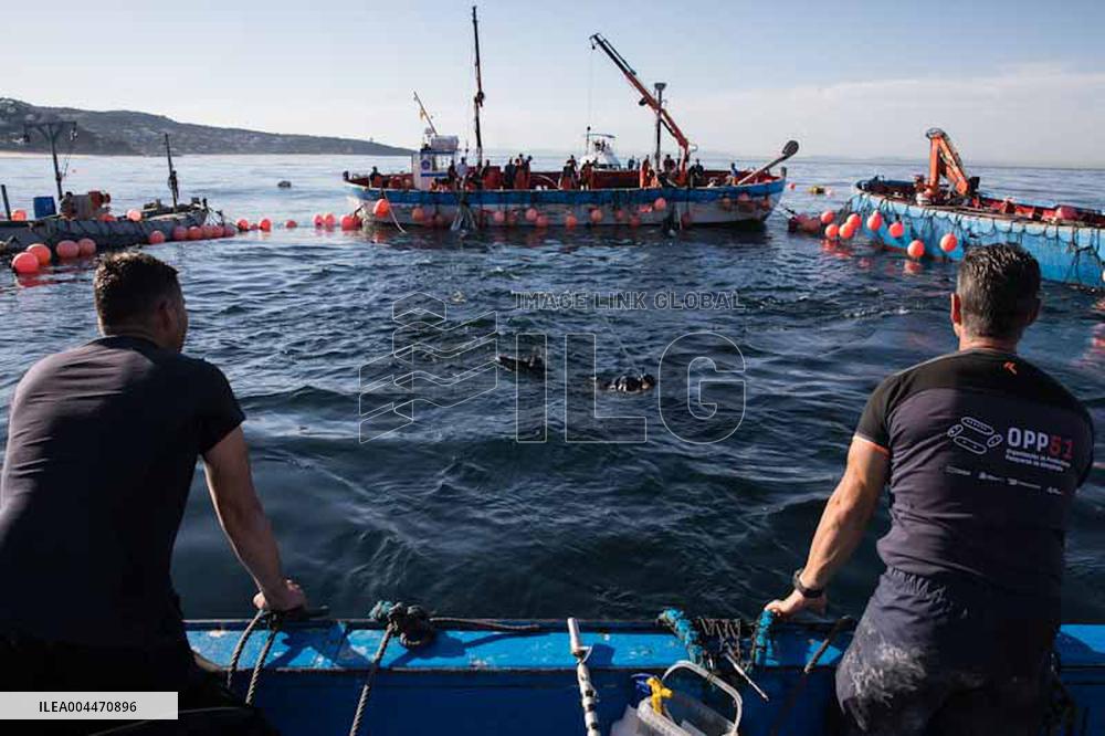 Levanta in Barbate - Cadiz