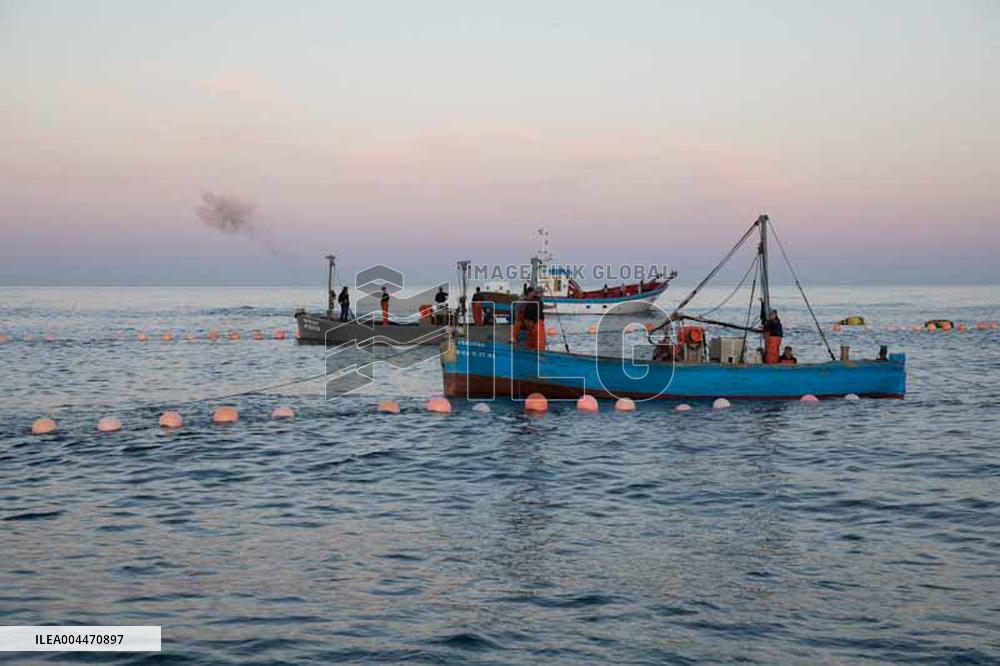 Levanta in Barbate - Cadiz