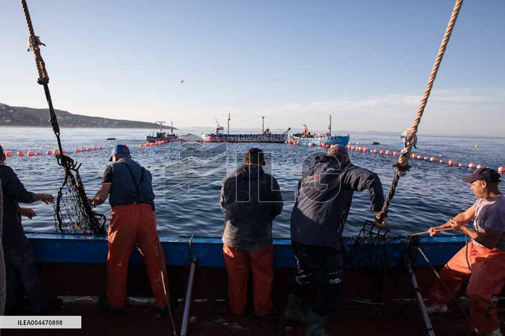 Levanta in Barbate - Cadiz