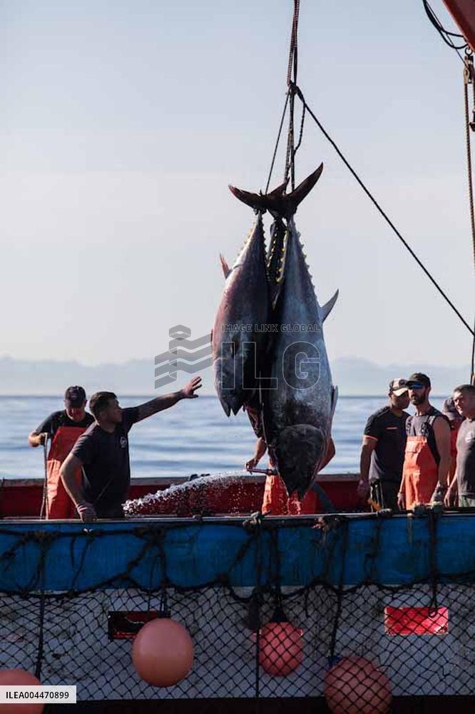 Levanta in Barbate - Cadiz
