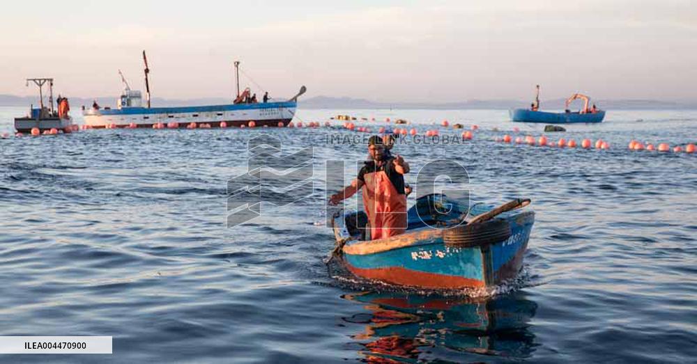 Levanta in Barbate - Cadiz