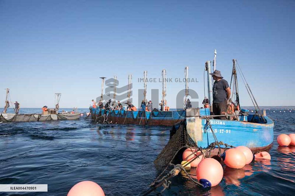 Levanta in Barbate - Cadiz