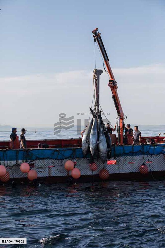 Levanta in Barbate - Cadiz