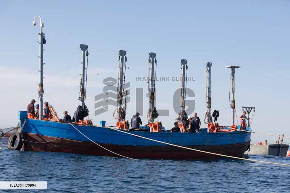 Levanta in Barbate - Cadiz