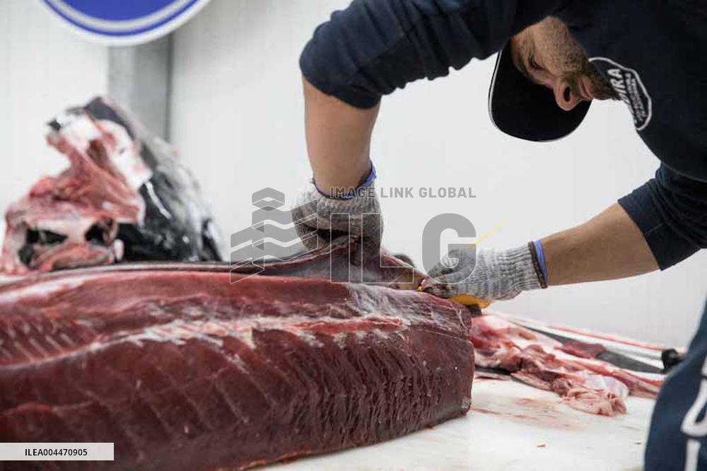 Levanta in Barbate - Cadiz