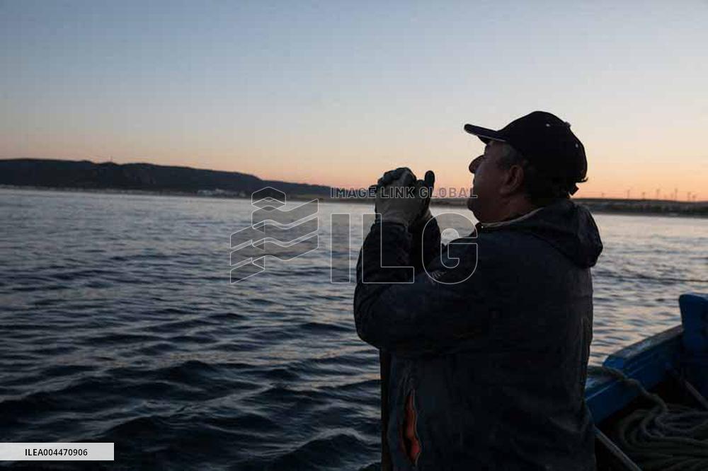 Levanta in Barbate - Cadiz