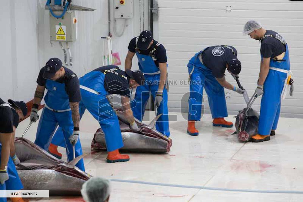 Levanta in Barbate - Cadiz