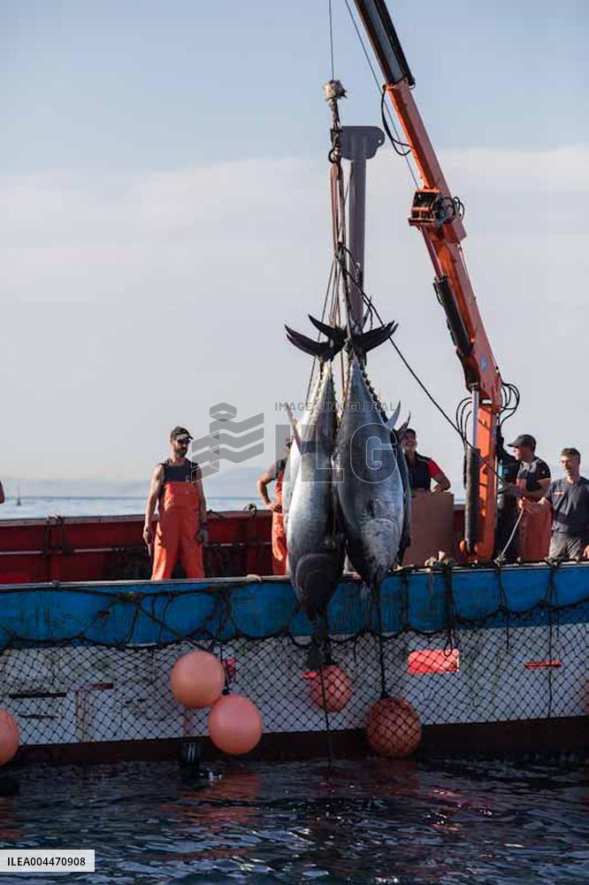 Levanta in Barbate - Cadiz