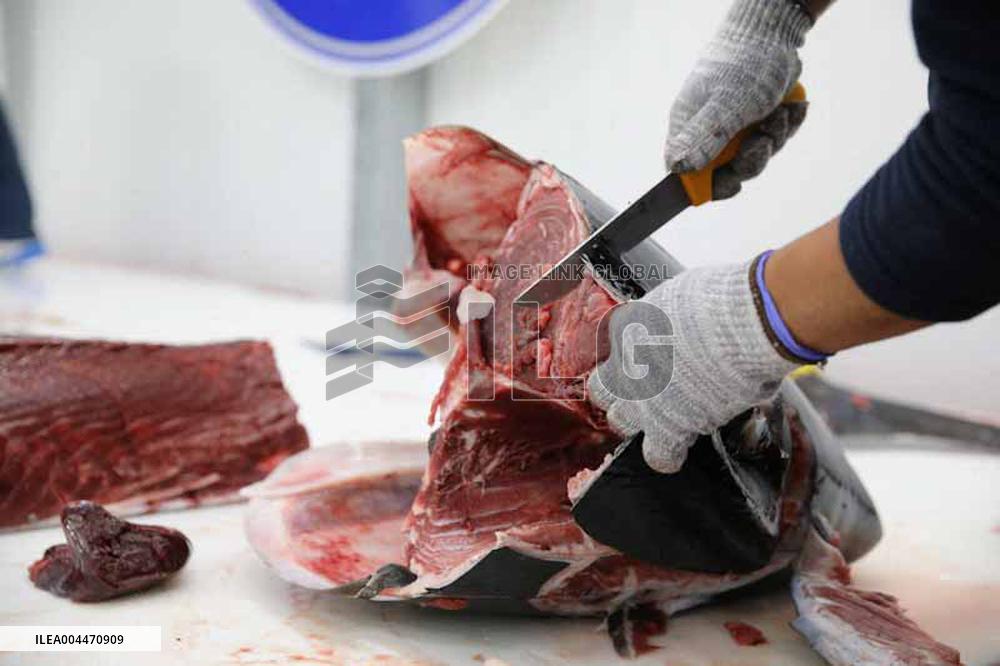 Levanta in Barbate - Cadiz