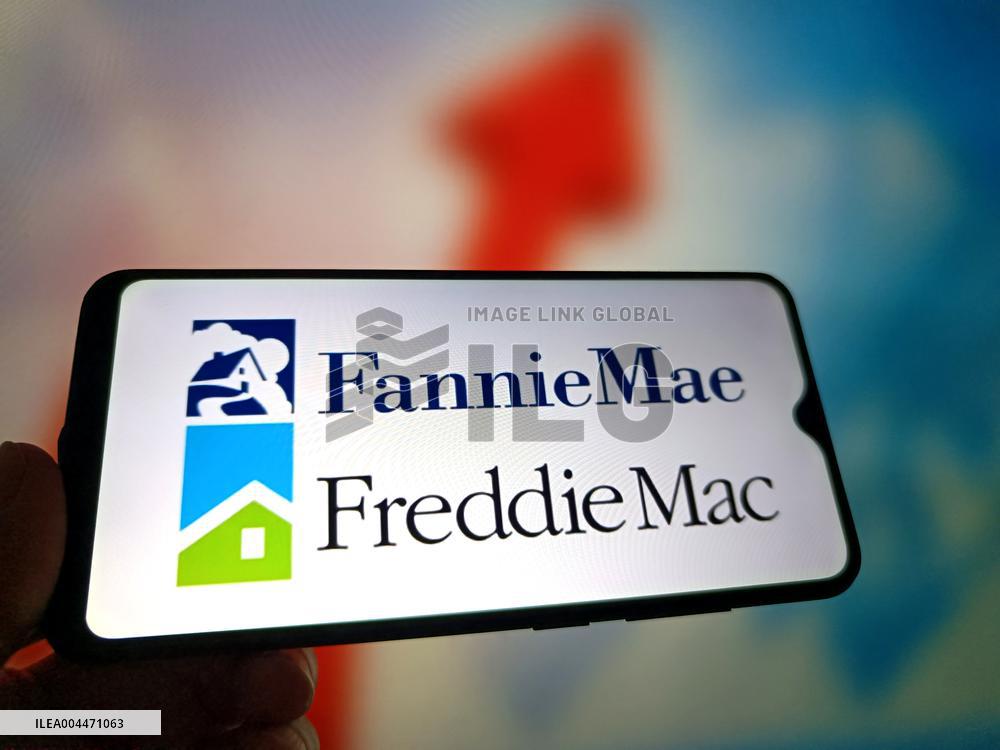 Illustration Fannie Mae and Freddie Mac