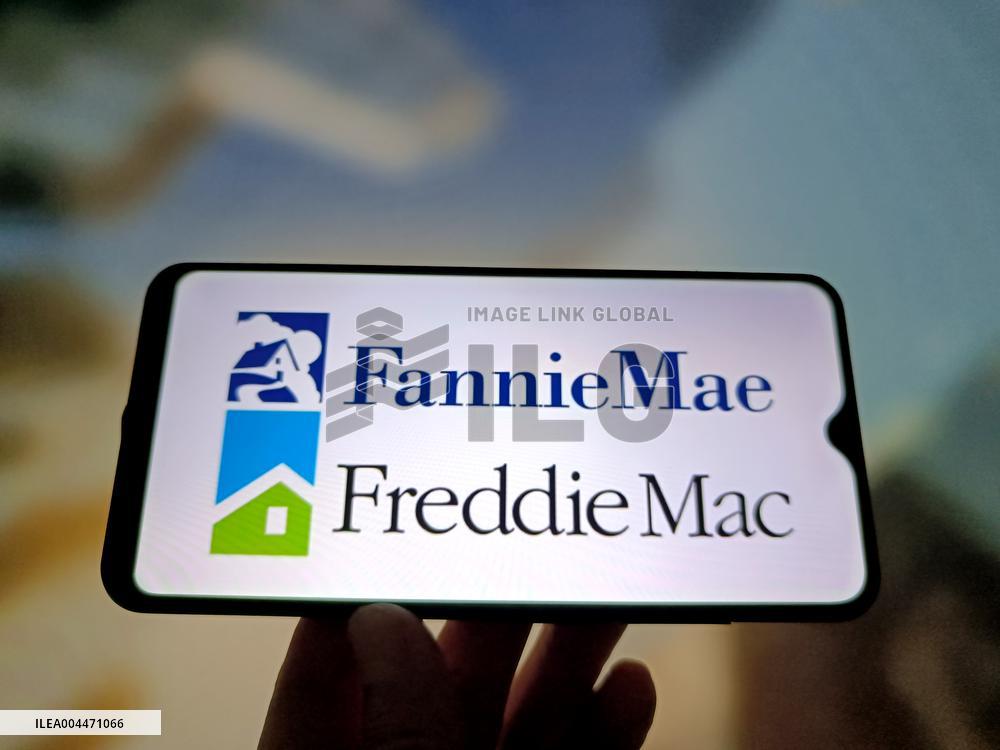 Illustration Fannie Mae and Freddie Mac