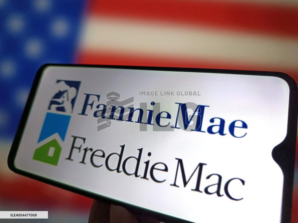 Illustration Fannie Mae and Freddie Mac