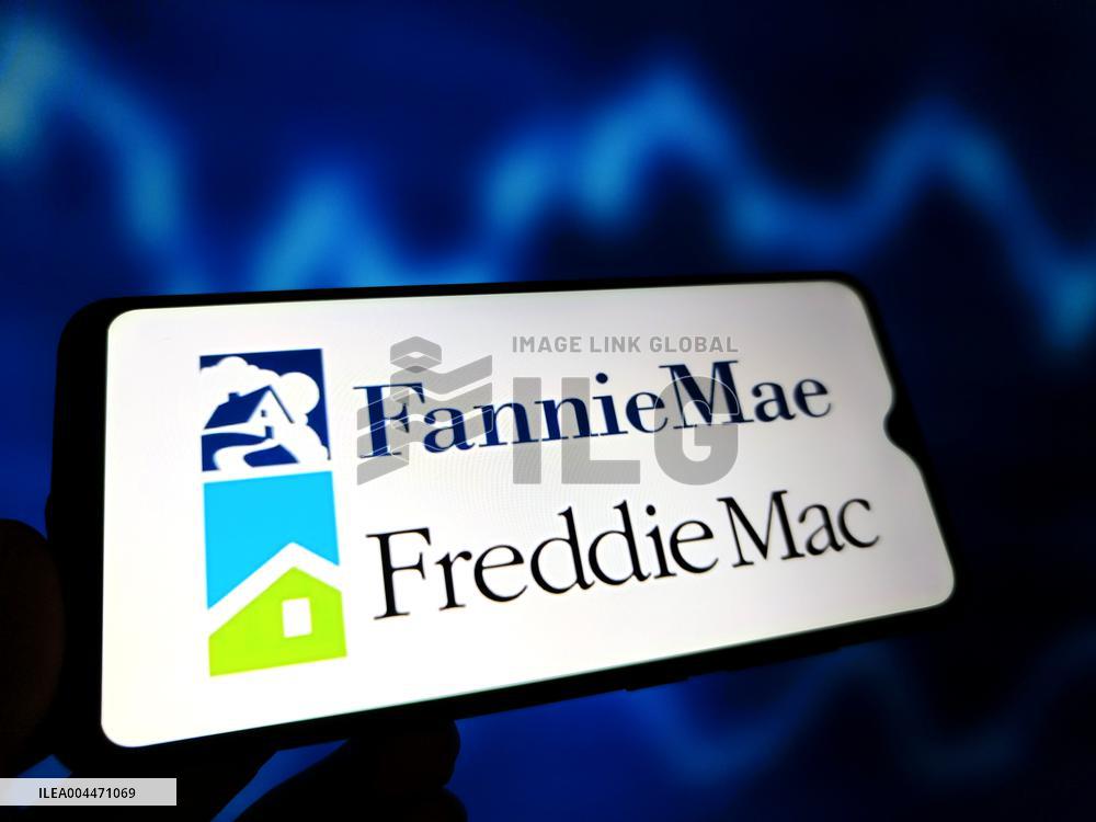 Illustration Fannie Mae and Freddie Mac