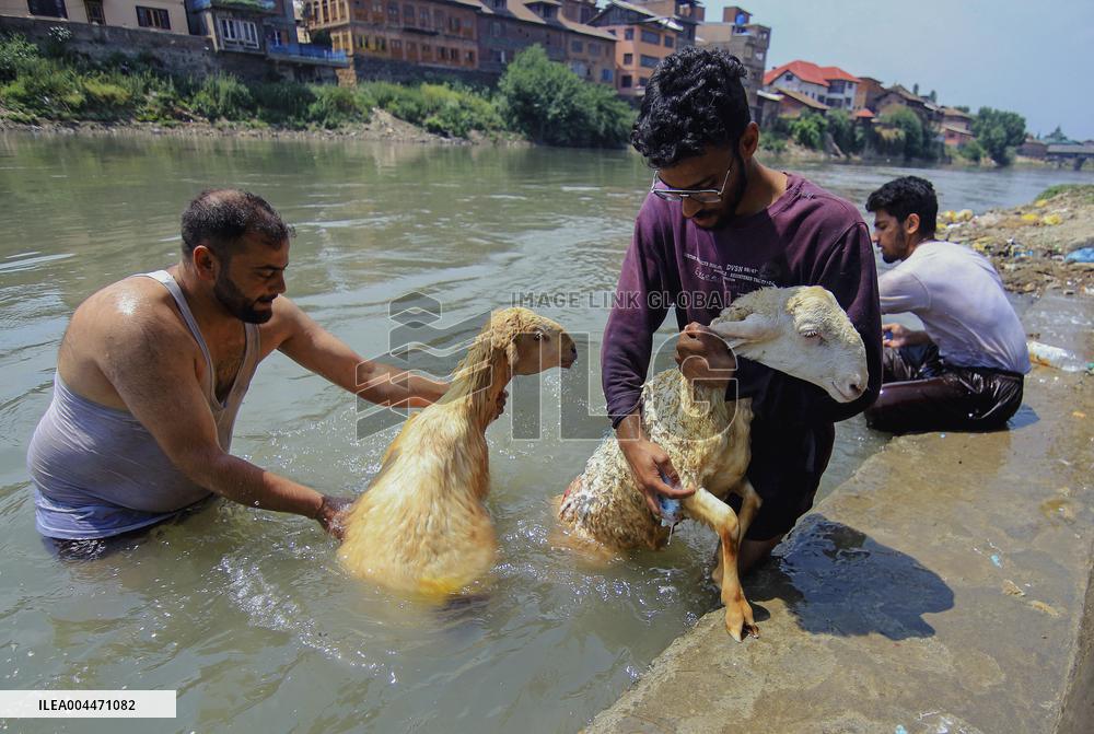 Kashmir Prepares For Eid Al Adha - India
