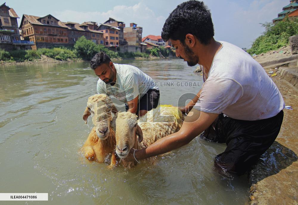 Kashmir Prepares For Eid Al Adha - India