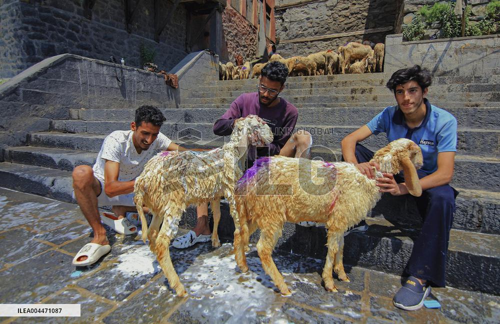 Kashmir Prepares For Eid Al Adha - India