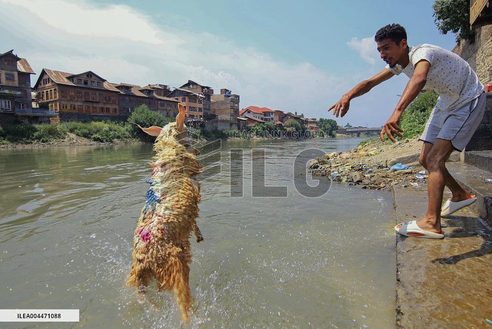 Kashmir Prepares For Eid Al Adha - India
