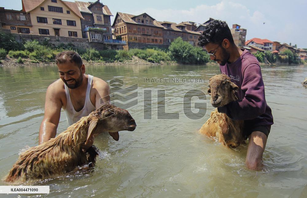 Kashmir Prepares For Eid Al Adha - India