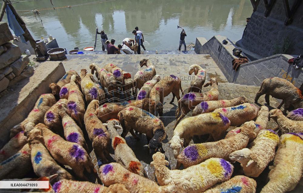 Kashmir Prepares For Eid Al Adha - India