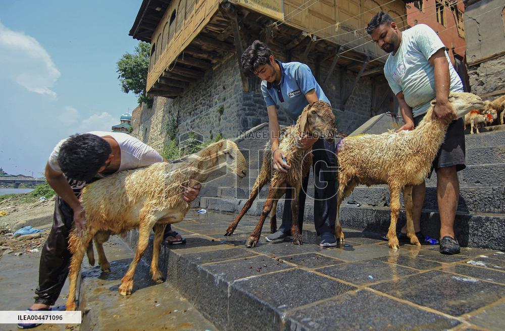 Kashmir Prepares For Eid Al Adha - India