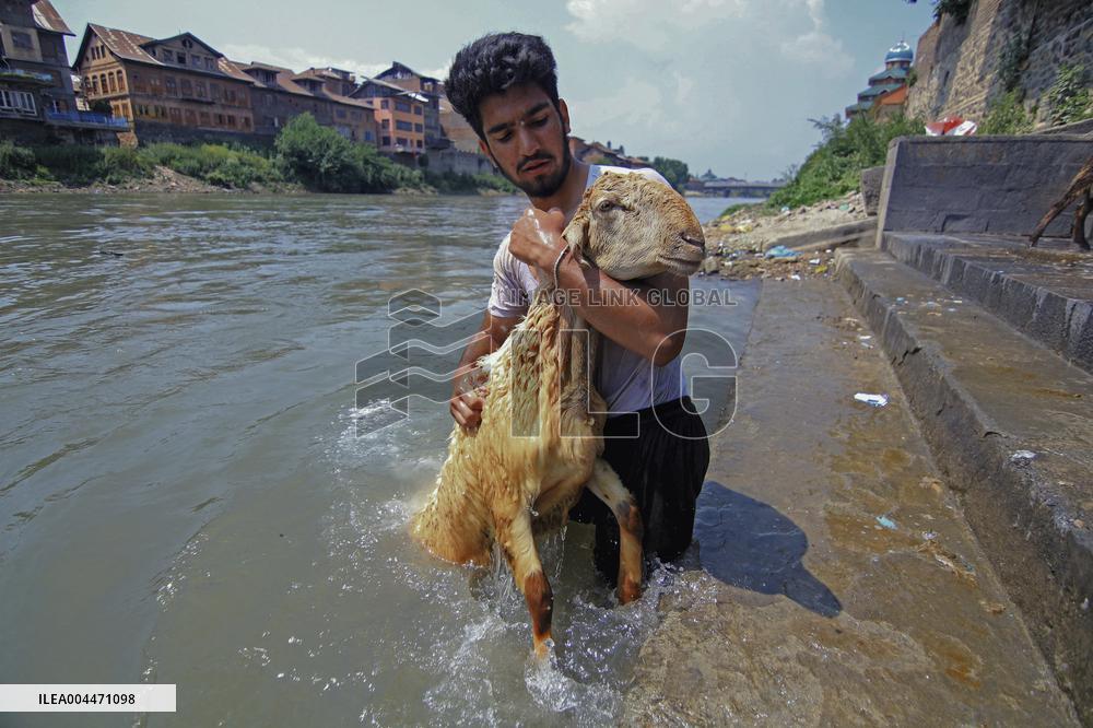 Kashmir Prepares For Eid Al Adha - India