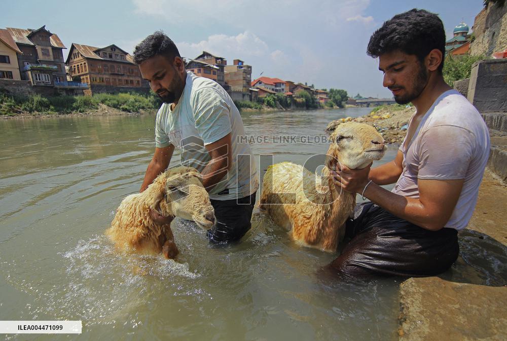 Kashmir Prepares For Eid Al Adha - India
