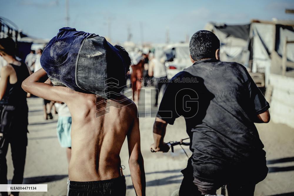 Desperation Grows At Gaza Food Distribution
