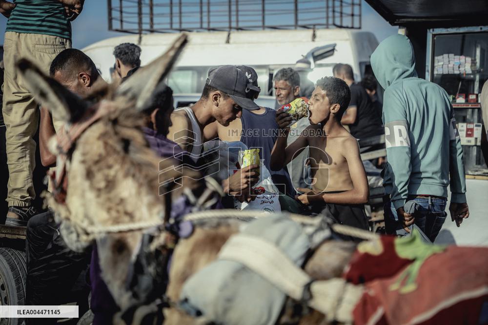 Desperation Grows At Gaza Food Distribution