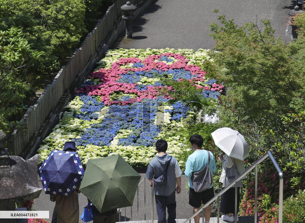 Hydrangea art featuring Osaka expo mascot