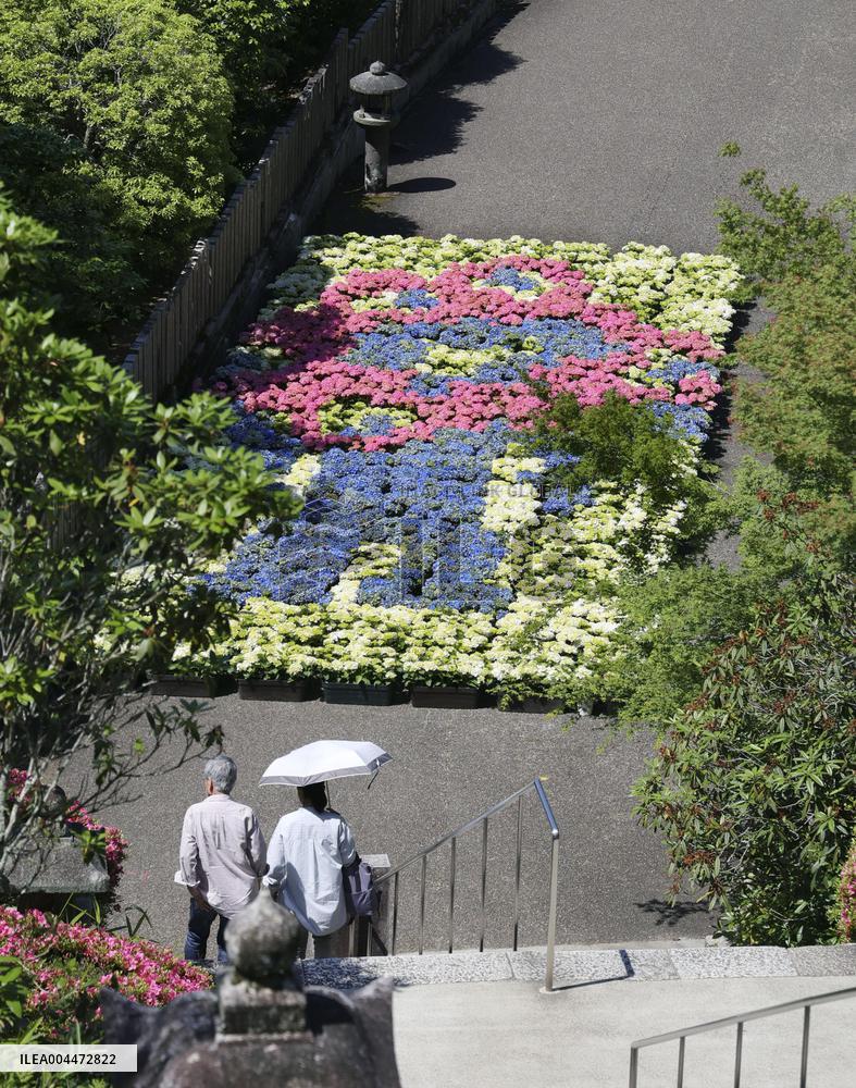 Hydrangea art featuring Osaka expo mascot