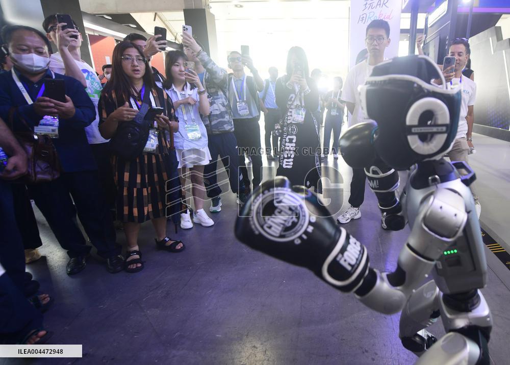 UNITREE G1 Humanoid Robot Boxing Match
