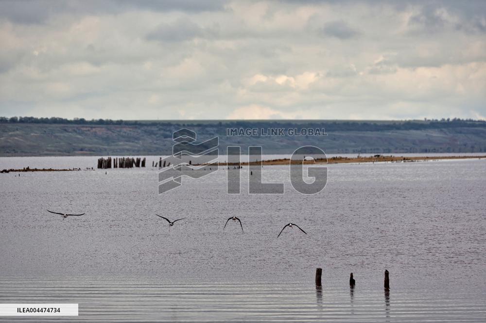 Kuialnyk Estuary