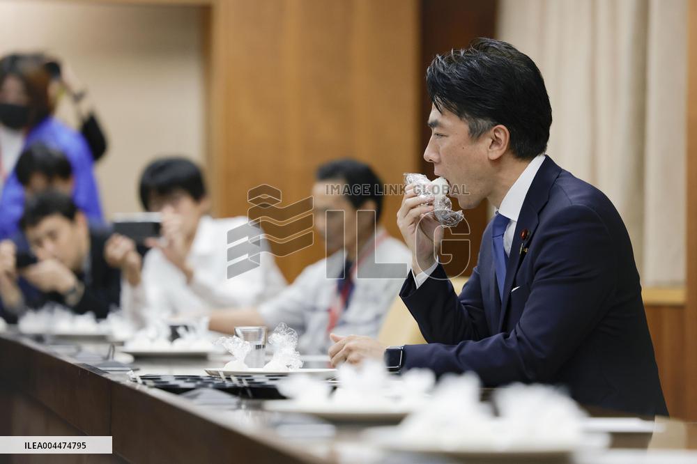 Japan farm minister Koizumi