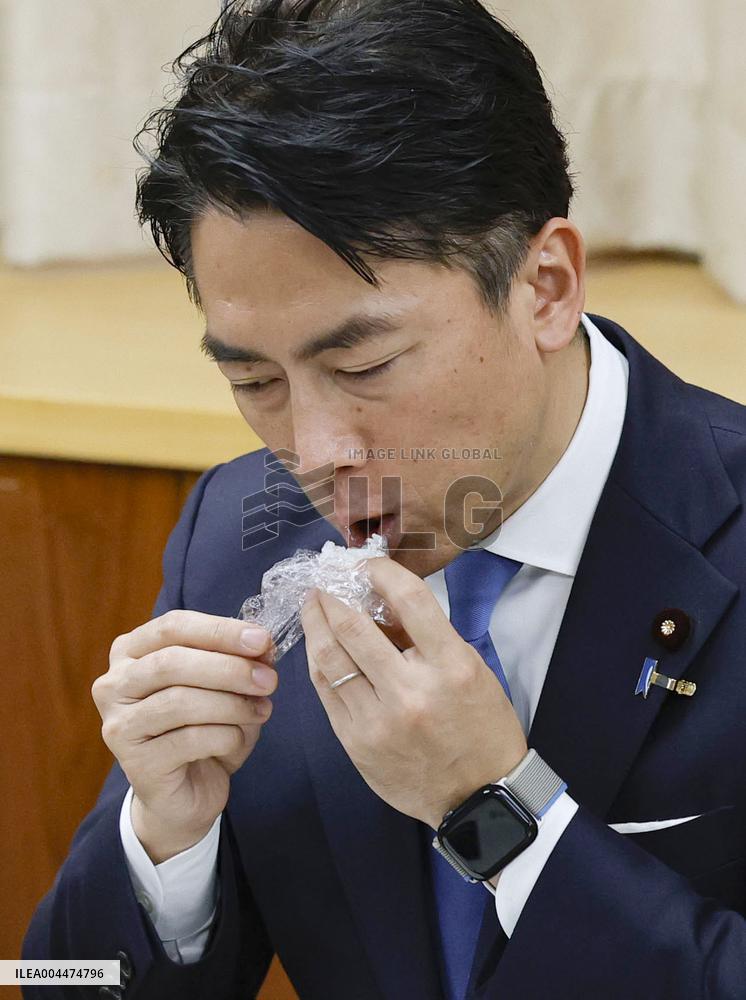 Japan farm minister Koizumi