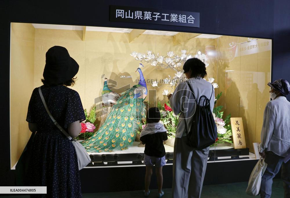 CORRECTED: National Confectionary Expo begins in northern Japan