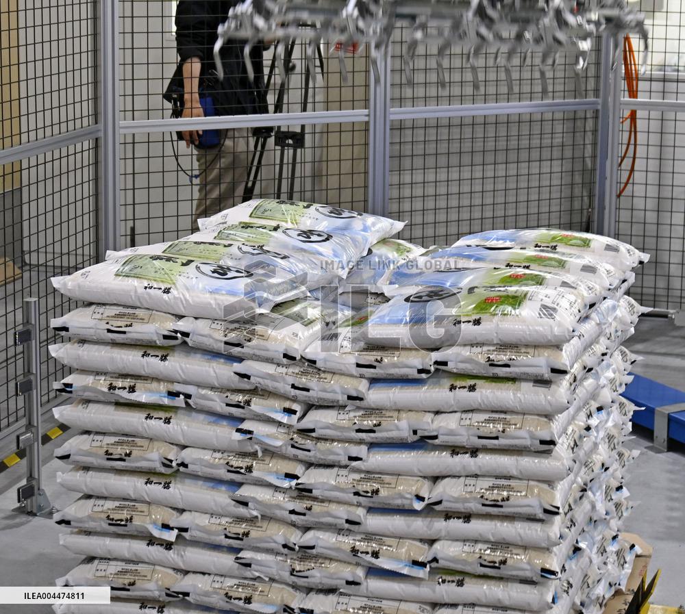 Government rice stockpile