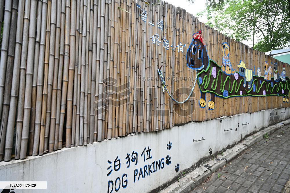 Dog Parking Spaces in Nanning