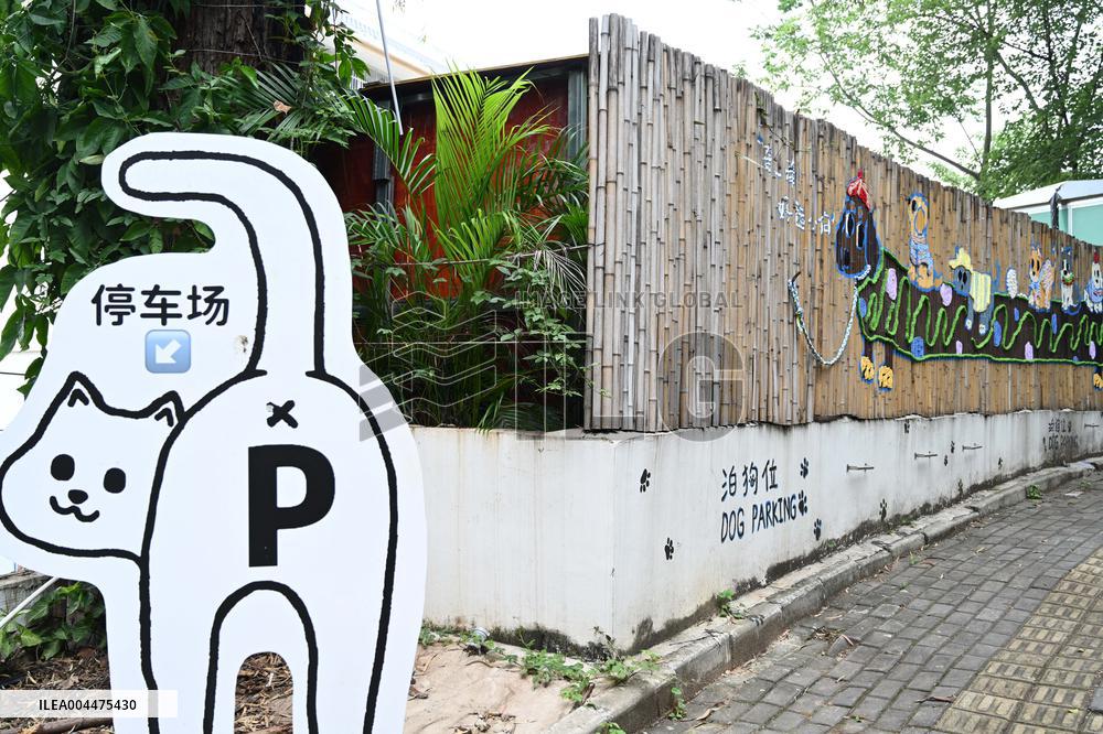 Dog Parking Spaces in Nanning